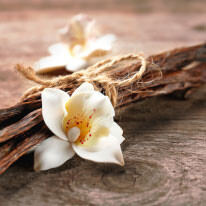 VANILLA ESSENCE